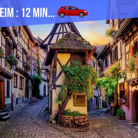 Le Blue St Leon : 2 Pieces Cozy Lit King Size Wifi Colmar Exterior foto