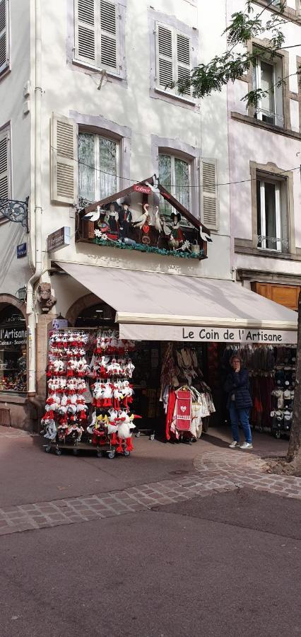 Le Blue St Leon : 2 Pieces Cozy Lit King Size Wifi Colmar Exterior foto