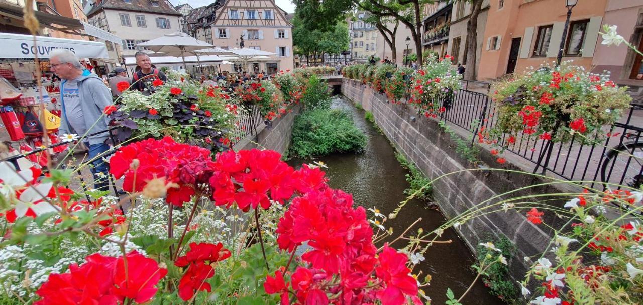 Le Blue St Leon : 2 Pieces Cozy Lit King Size Wifi Colmar Exterior foto