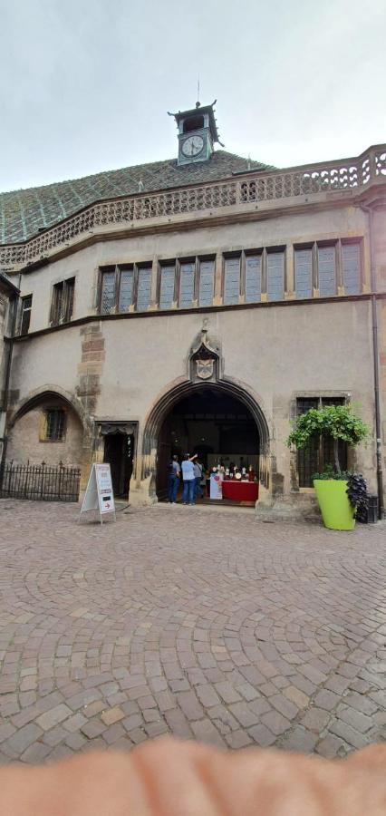 Le Blue St Leon : 2 Pieces Cozy Lit King Size Wifi Colmar Exterior foto