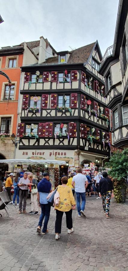 Le Blue St Leon : 2 Pieces Cozy Lit King Size Wifi Colmar Exterior foto