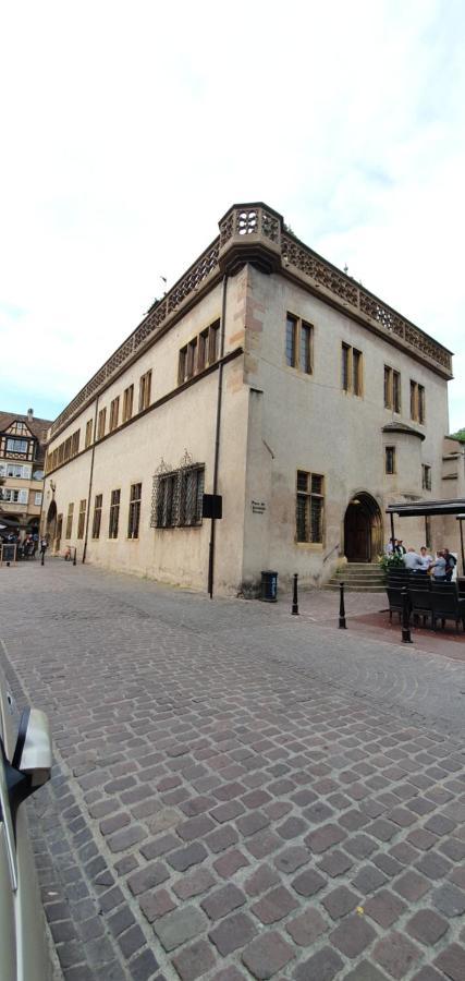 Le Blue St Leon : 2 Pieces Cozy Lit King Size Wifi Colmar Exterior foto